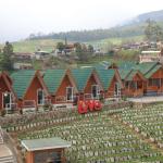 D'LAWU MOUNTAIN COTTAGE